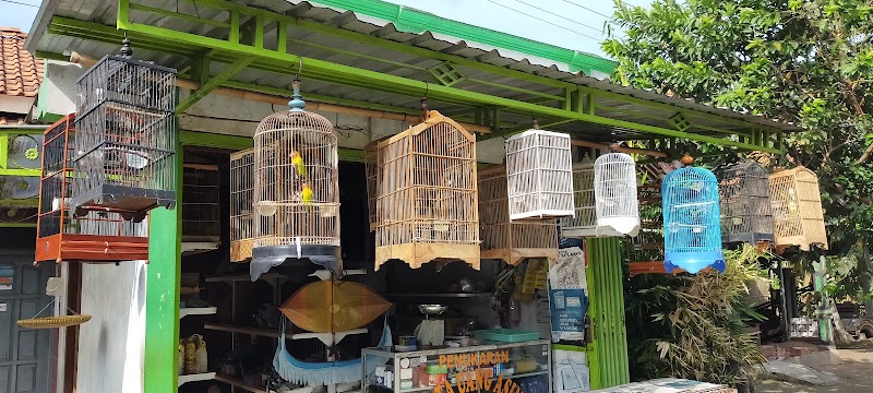 Cilacap Birds: The Favorite Spot for Bird Lovers in Karangkandri